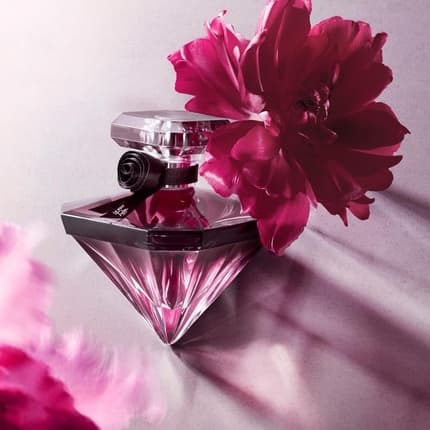 Lancôme La Nuit Trésor Eau de Parfum (EDP) Femme 50ml