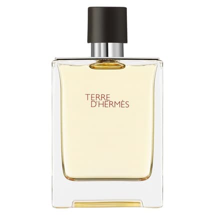 Hermès Hermes Terre D'Hermes Eau de Toilette (EDT) Mixte 100ml - Maison des fragrances
