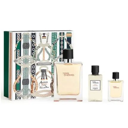 Hermès Set Terre D'Hermès - Eau De Toilette Homme - 100 Ml, 125 Ml, And Moisturizing After-Shave Lotion 40 Ml - Maison des fragrances