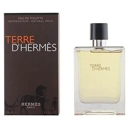 Hermes Terre D'Hermes Perfume 100 Ml - Maison des fragrances