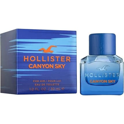 Hollister 's Toiletry Water Ideal Eau de Toilette (EDT) Homme - Maison des fragrances