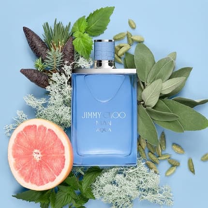 Jimmy Choo Man Aqua Eau De Toilette 100ml For Men