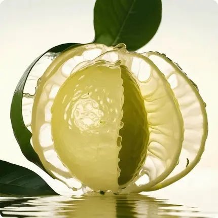 Iceberg Eau De Iceberg 74 Italian Bergamot Eau de Toilette (EDT) Mixte - Maison des fragrances