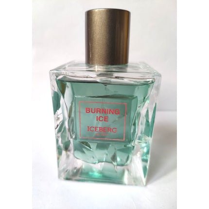 Iceberg Vintage Burning Ice 's 100ml pour homme - Maison des fragrances