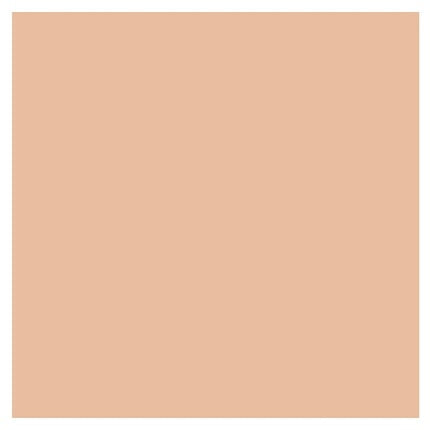 Lancôme Teint Idole Ultra Wear Stick Foundation Tom 22 Lys Rosé 9g