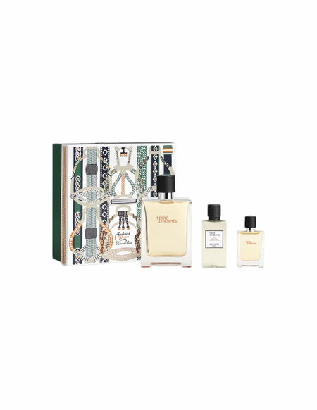 Terre d'Hermes Eau de Toilette Spray 100ml Hermès