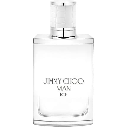 Jimmy Choo Man Ice Eau de Toilette (EDT) Homme 50ml