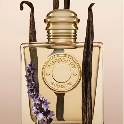 Burberry Goddess Eau de Parfum (EDP) Mixte 100ml