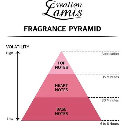 Lamis Deluxe Everyone Noir Unisex Fragrance 100ml - Eau de Parfum Spray - Maison des fragrances