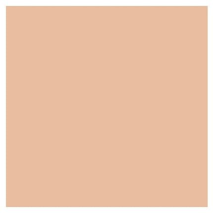 Lancôme Teint Idole Ultra Wear Stick Foundation Tom 22 Lys Rosé 9g - Maison des fragrances