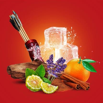Old Spice Original Deodorant 48h Déodorant (Déo) Mixte 150ml