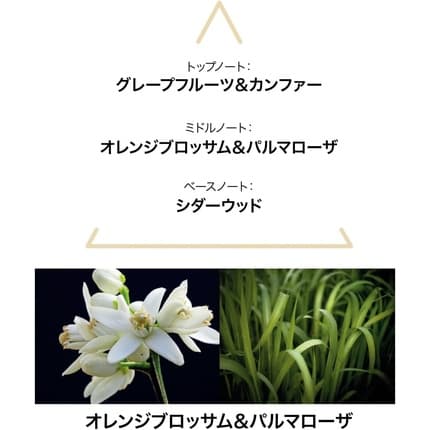 LE COUVENT Botanical Cologne Aqua Mysteri Eau de toilette 50ml