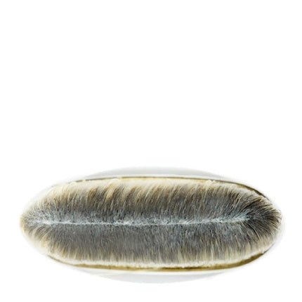 Mac 190 Foundation Brush - Maison des fragrances