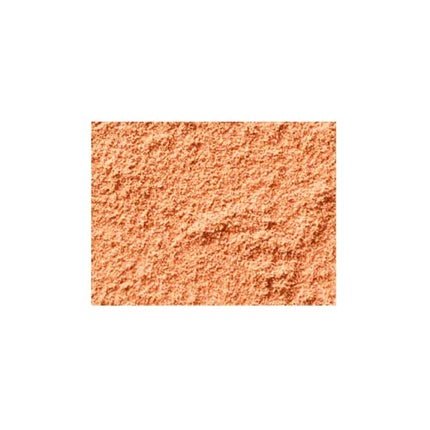 MAC Studio Fix Powder Plus Foundation NC45 - Maison des fragrances