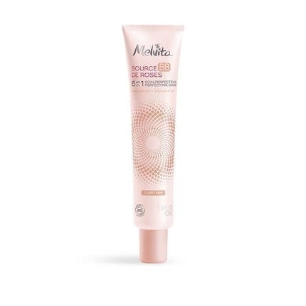 Melvita BB Cream Source de Roses Light 100% Natural Pigments Certified Organic Silicone - Free Natural Coverage 6 - in - 1 40ml Tube - Maison des fragrances