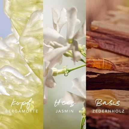 Mexx Inspired Nature Floral - Fruity Fragrance Eau de Parfum (EDP) Femme - Maison des fragrances
