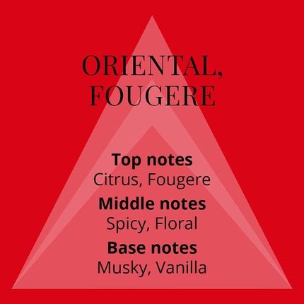 Milton-Lloyd Bondage Fragrance for Men 150ml Body Spray - Maison des fragrances