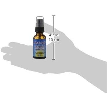 MIND FULL Spray FES California Blue Essence 30ml - Maison des fragrances