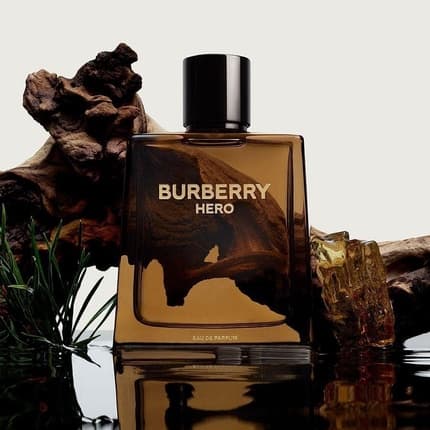 Burberry Hero Eau de Parfum (EDP) Homme 100ml