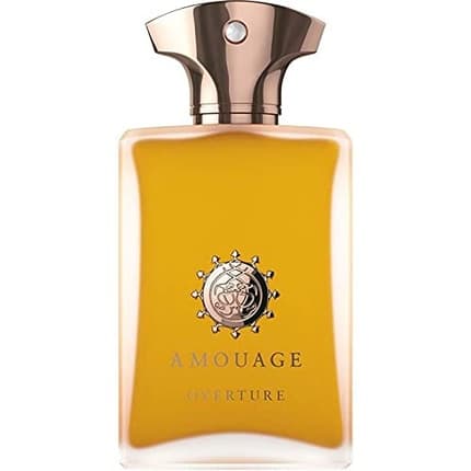 Amouage Overture Man Eau de Parfum 100ml pour homme