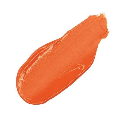 NudeStix Magnetic Lip Plush Paints Fresh Fiji - Tropical Inspired Pop of Clementine - Maison des fragrances