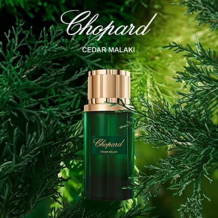 Chopard Cedar Malaki Eau de Parfum (EDP) Mixte