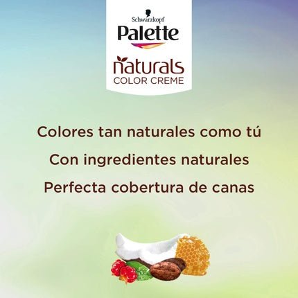 Palette NC 5.0 Light Brown Brush ES - Maison des fragrances