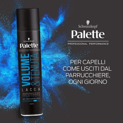Palette Volume Hold Spray 300ml - Maison des fragrances