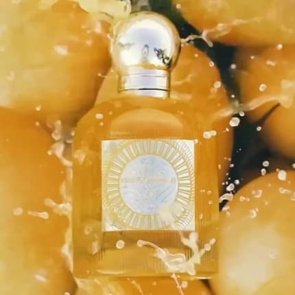Paris Corner Emir Mango Punch Eau de Parfum (EDP) Mixte 100ml - Maison des fragrances