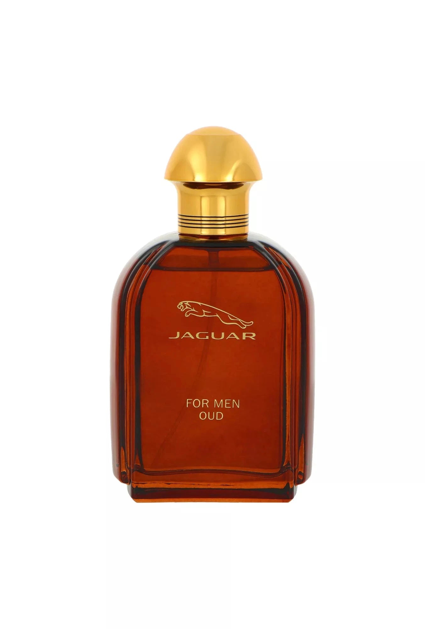 Jaguar For Men Oud Eau De Parfum Spray 100ml