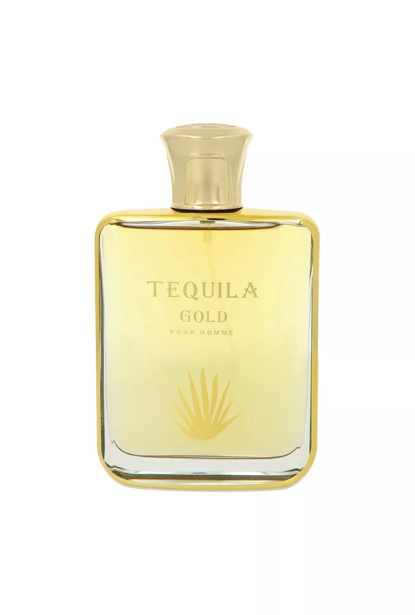Tequila Parfums Tequila Gold for Men Eau De Parfum Spray 3.4 fl oz