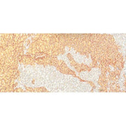 Pupa Milano Brightener Night Heroes Face Illuminator - 2 Grams - Maison des fragrances