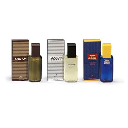 Quorum Silver Eau De Toilette Spray 100ml - Maison des fragrances