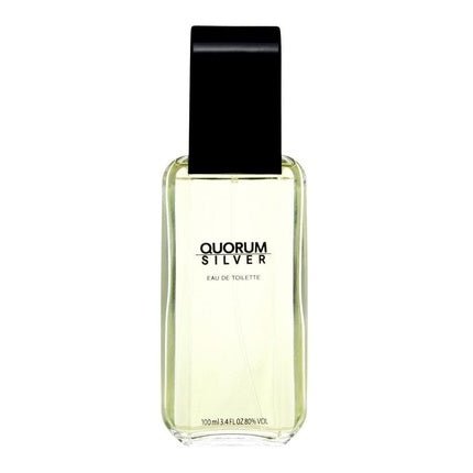 Quorum Silver Eau De Toilette Spray 100ml - Maison des fragrances