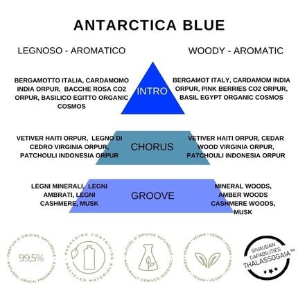 Replay Earth Made Antarctica Blue - Eau De Toilette Vegan and Unisex Body Fragrance with Cool and Magnetic Style Woody Aromatic 200ml - Maison des fragrances
