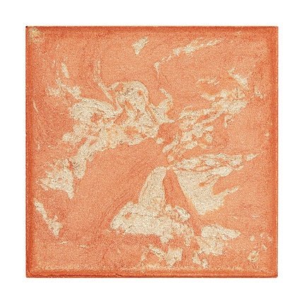 Revolution PRO Lustre Blusher Peach 6.4g - Maison des fragrances