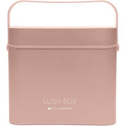 Rio Lush Box Makeup Cosmetic Vanity Travel Case with Removable LED Light Mirror - Large - Maison des fragrances