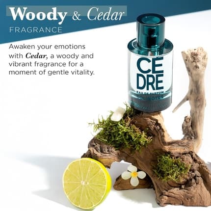 Solinotes Cedarwood Perfume - | Refined Woody and Soothing Eau de Parfum (EDP) Homme - Maison des fragrances