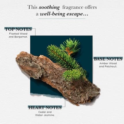 Solinotes Cedarwood Perfume - | Refined Woody and Soothing Eau de Parfum (EDP) Homme - Maison des fragrances