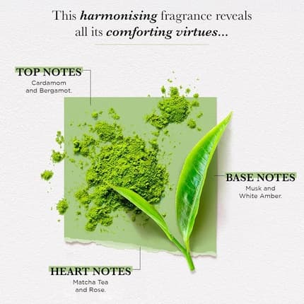 Solinotes Matcha Tea Perfume - | Delicate Floral Eau de Parfum (EDP) Femme - Maison des fragrances