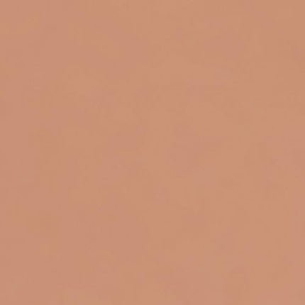 Stargazer Matte Finish Lipstick 209 Maximum Color Creamy Lipstick 5.20g - Maison des fragrances