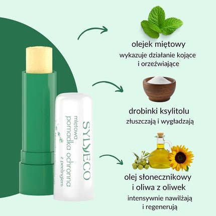 Sylveco Lip Peeling Balm Mint 30g - Maison des fragrances