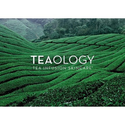Teaology Rose Tea Lip Balm 23g - Rose Shade - Tinted Lip Care with Antioxidant Tea Extract - Lip Balm - Natural Cosmetics - Maison des fragrances