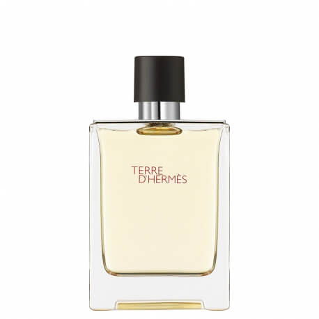 Hermes Terre D'Hermes Eau De Toilette Spray 50ml