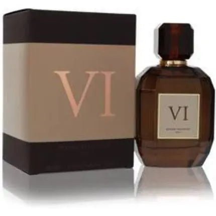 Vi Homme Reyane Tradition Vi Eau de Parfum 100ml Unisexe - Maison des fragrances