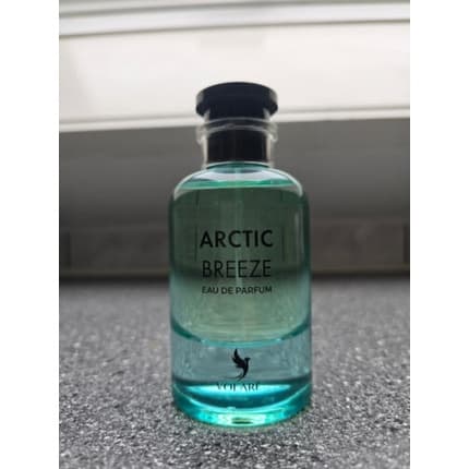Volare Arctic Breeze Eau de Parfum (EDP) Mixte 100ml - Maison des fragrances