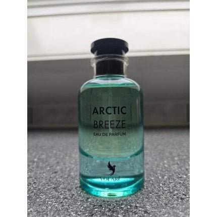 Volare Arctic Breeze Eau de Parfum (EDP) Mixte 100ml - Maison des fragrances