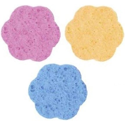 x12 Cellulose Makeup Remover Sponge 70mm - EuroStil - Maison des fragrances