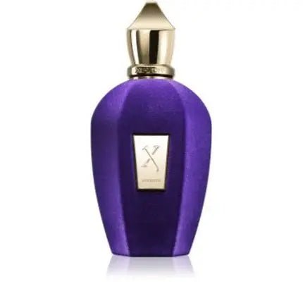 Xerjoff Accento Unisex Eau de Parfum (EDP) Mixte 100ml - Maison des fragrances